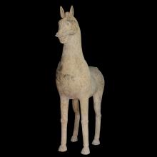 Tr�s grand cheval � l'arr�t, sans terrasse